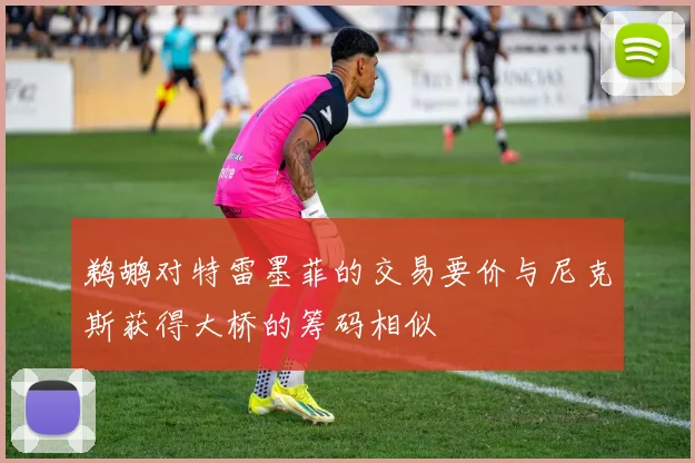 鹈鹕对特雷墨菲的交易要价与尼克斯获得大桥的筹码相似